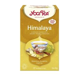 BIO Himalaya Chai tea 17x2g Yogi