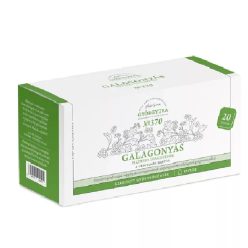   Györgytea Galagonyás filteres 20x1,3g teakeverék, a vérnyomás barátja No.370