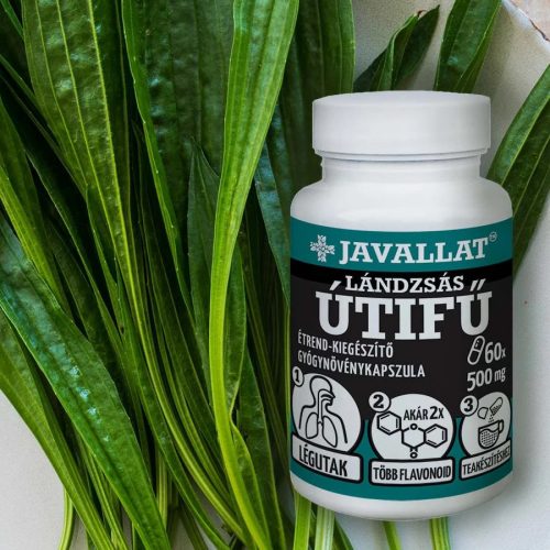 JAVALLAT Lándzsás Útifű kapszula 60 db