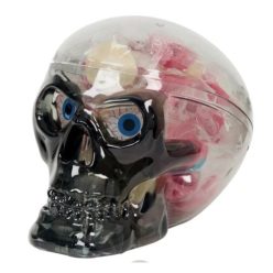 Halloween koponya gumicukorral192g
