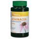 Vitaking Echinacea 250mg Bíbor kasvirág (90) kapszula