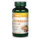 Vitaking Astragalus 9000mg/napi adag (90 ) vegán kapszula (Kínai csüdfű)